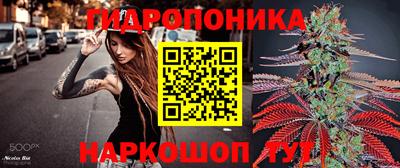 ГАЛЛЮЦИНОГЕННЫЕ ГРИБЫ Камышлов