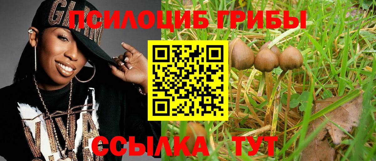 Галлюциногенные грибы мухоморы  Вход с VPN  Коряжма  Галлюциногенные грибы Cubensis 
