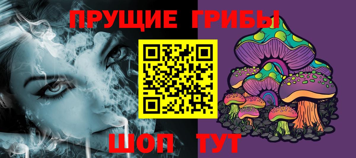 Псилоцибиновые грибы Psilocybine cubensis Коряжма